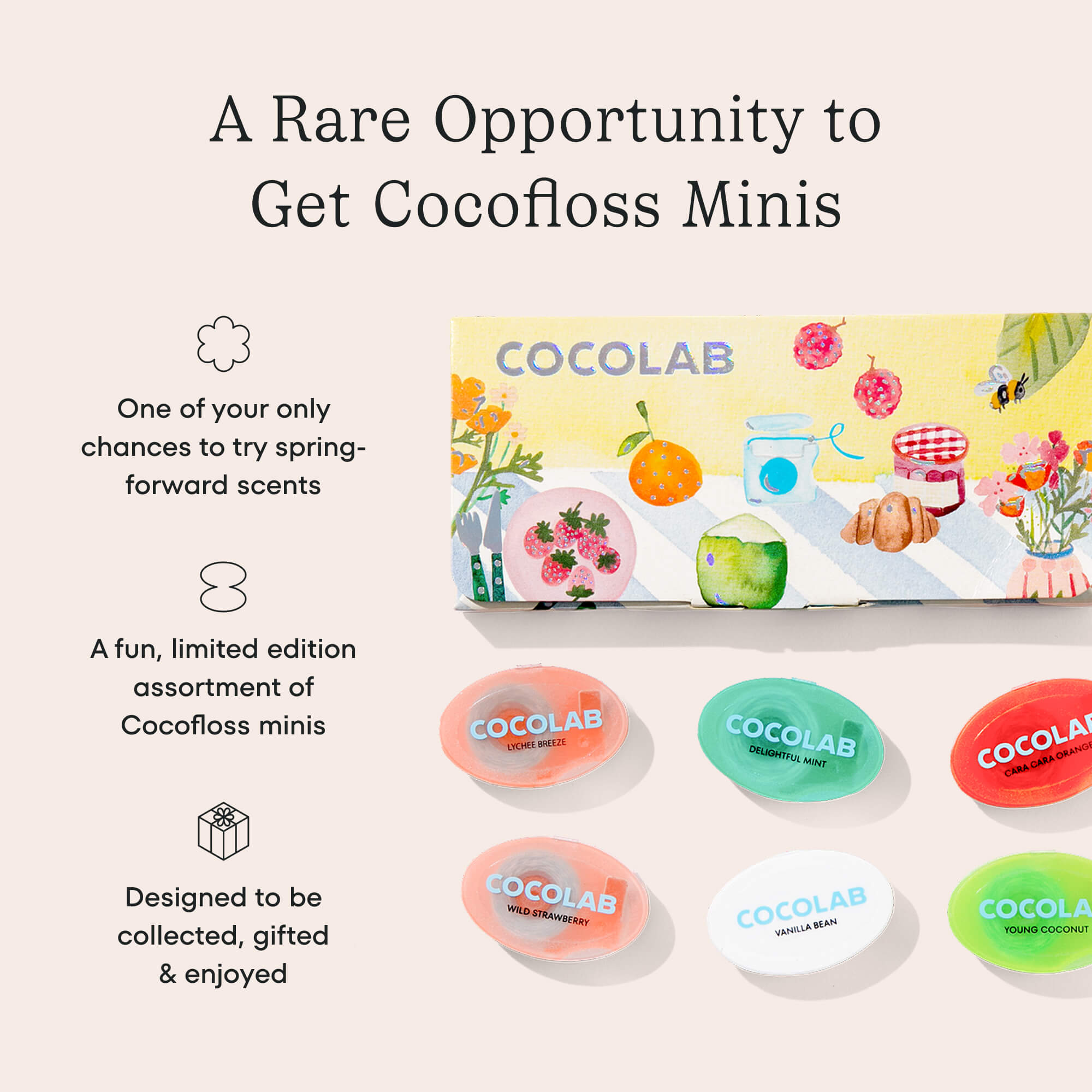 Spring Mini Collection - Cat's Sunday Brunch (4 Pack) - Image 4