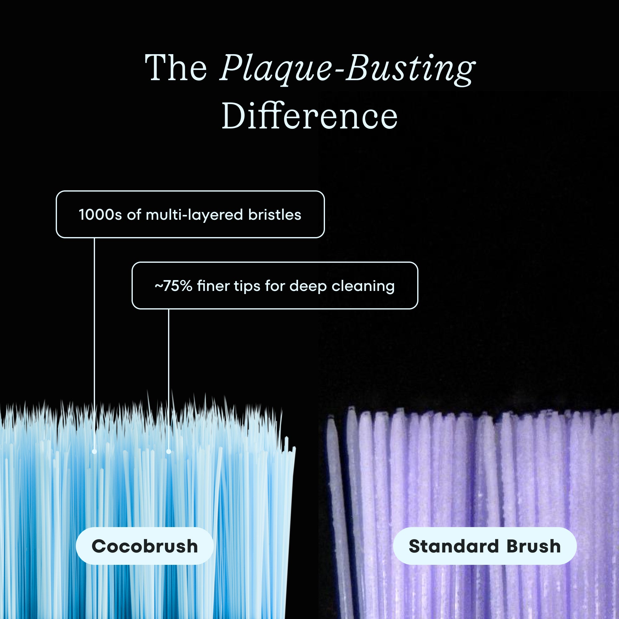 Kid's Cocobrush — 12 Pack - Image 6